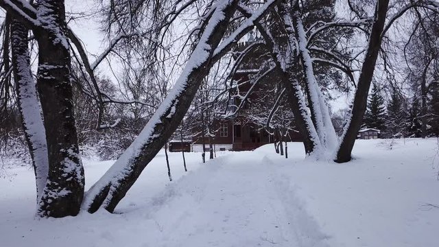 Winter landscape of the museum of I.E. Repin