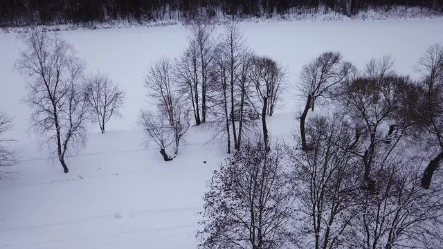 Winter landscape of the museum of I.E. Repin