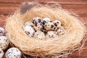 Obraz premium Quail easter eggs with and feathers in nest on wooden table, copy space. Spring, Easter, healthy organic food concept