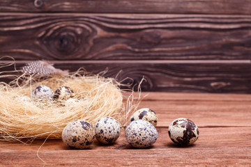 Quail easter eggs with and feathers in nest on wooden table, copy space. Spring, Easter, healthy organic food concept