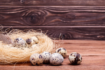 Quail easter eggs with and feathers in nest on wooden table, copy space. Spring, Easter, healthy organic food concept