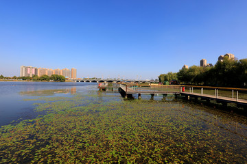 Fototapeta na wymiar Park trestle bridge in china