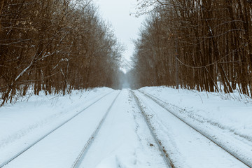 Obraz premium Tramways in the winter park