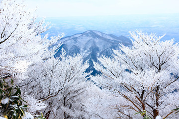 御在所ロープウェイの樹氷