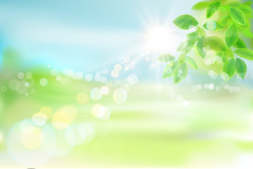 Fototapeta na wymiar Fresh green tree leaves. Green meadow. Nature background. Spring landscape. Vector illustration.