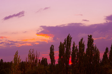 Landscape with dramatic light - beautiful golden sunset with saturated sky and clouds.