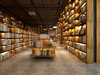 3d render library interior