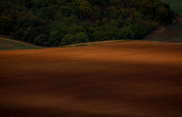 Fototapeta premium The last autumn rays of the sun in the landscape