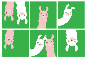 Set of cartoon pictures, images, photography with llama white and pink color. Blue background. Vector illustration. Flat design. © Artamstera