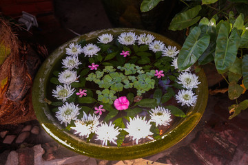 decorative flowers in a vase in zen style