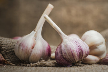 Bulbs and cloves of natural organic garlic on a linen mat