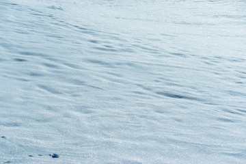 Sparkling snow. Winter atmosphere. Background of snow