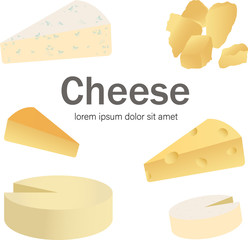 Cheese types. Vector illustration of for design menus, recipes and packages product. Icons isolated on white background.