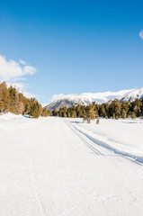 St. Moritz, Stazerwald, Stazersee, Oberengadin, Muottas Muragl, Winter, Wintersport, Langlauf, Alpen, Graubünden, Schweiz