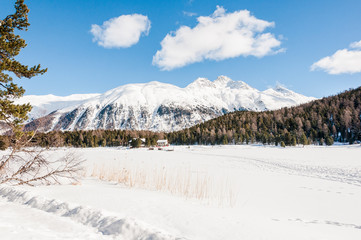Pontresina, Stazersee, Stazerwald, Oberengadin, Schafberg, Piz Landaard, Alpen, Winter, Wintersport, Graubünden, Schweiz