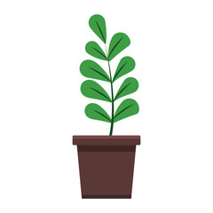 plant in pot cartoon