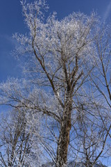 Schnee in Tirol