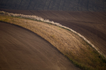 Autumn evening in the field