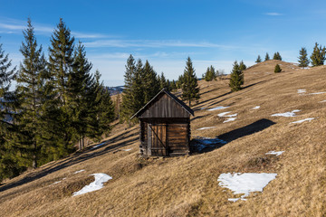 Spring Landscape in the mountains withpine trees and the wooden shepherd cottage, Carpathian mountains