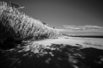 black and white infrared photography