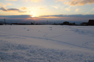 Fototapeta na wymiar 大山まきばミルクの里の雪景色