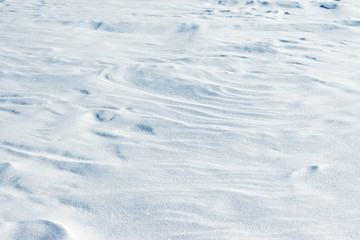 Sparkling snow in the sunlight. Winter atmosphere. Background of snow. Cold season