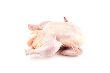 raw chicken carcass on white © arybickii