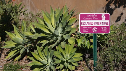 Sign advising of reclaimed irrigation water in use