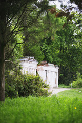 Old ruins in the Alexandria Park