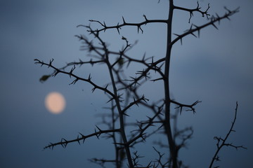 anoitecer em Pão de Açúcar AL