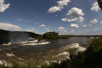 Fototapeta na wymiar Cataratas del Iguazu