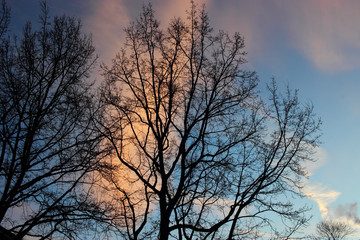 Himmelsfarbe am Morgenfrüh in Winter