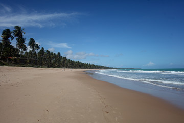 praia em Alagoas
