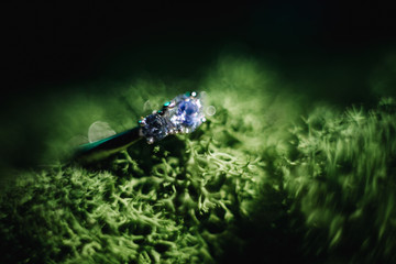  wedding ring on the grass