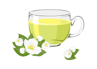 Herbal tea with jasmine in glass cup with flowers and buds  isolated on white background. Vector illustration of hot drink in cartoon simple flat style.