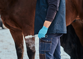 Veterinarian man wearing gloves holding a forceps for papillomas removal procedure 