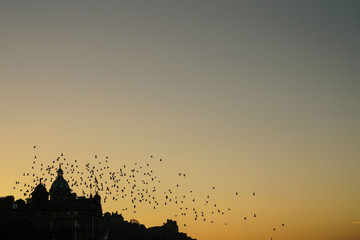 Fototapeta na wymiar edinburgh shadows sunset birds flying