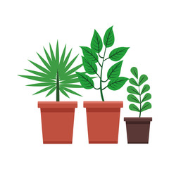 plants pot cartoon