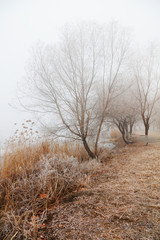 winter river scene in the fog