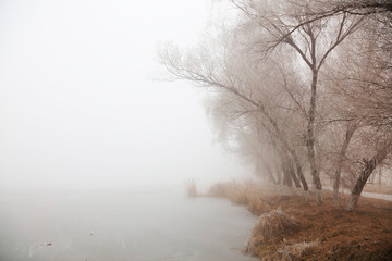 winter river scene in the fog