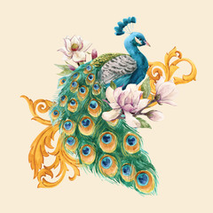 Watercolor peacock vector illustration - obrazy, fototapety, plakaty