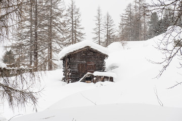 Winter view of old grunge alpine chalet under heavy snow and pine trees in background