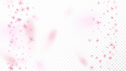 Nice Sakura Blossom Isolated Vector. Tender Blowing 3d Petals Wedding Design. Japanese Blooming Flowers Illustration. Valentine, Mother's Day Realistic Nice Sakura Blossom Isolated on White