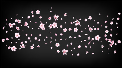 Nice Sakura Blossom Isolated Vector. Realistic Falling 3d Petals Wedding Paper. Japanese Nature Flowers Wallpaper. Valentine, Mother's Day Realistic Nice Sakura Blossom Isolated on Black