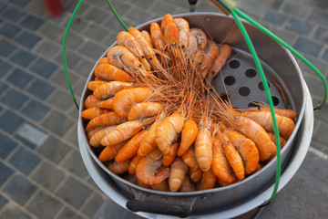 Boiled shrimps arranged in rows in the pan