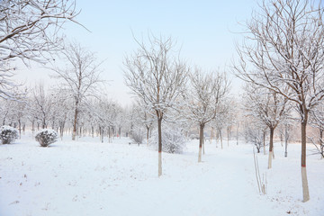 Fototapeta na wymiar Winter scenery of northern China