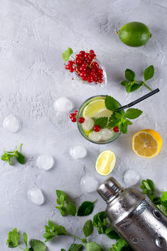 Cocktail shaker, lemon, lime, mint leaves , red currant  and  ice  for preparing a summer cocktail