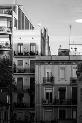 Black and white photo of Barcelona in the morning, Catalonia, Spain