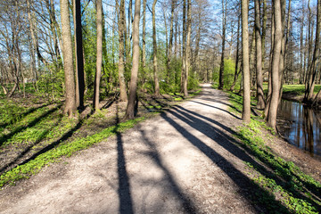 empty country gravel road with mud puddles and bumps