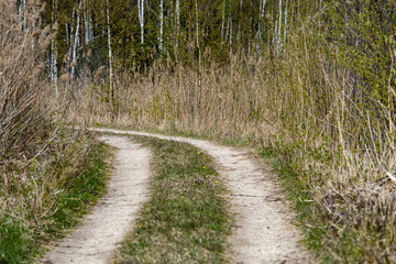 empty country gravel road with mud puddles and bumps